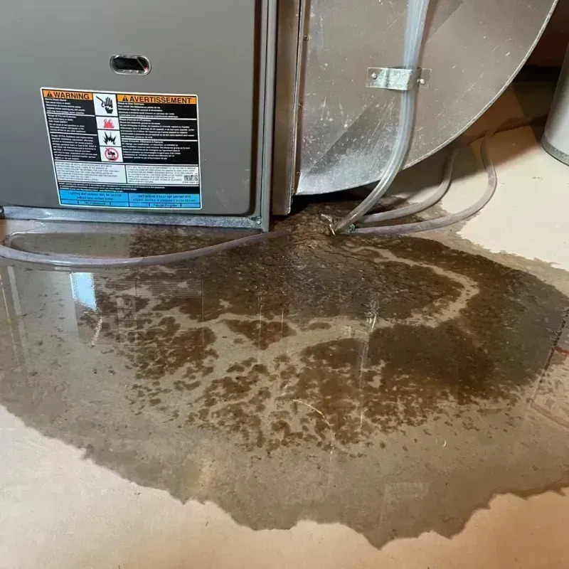 Appliance Leak Cleanup in Warren County, MO